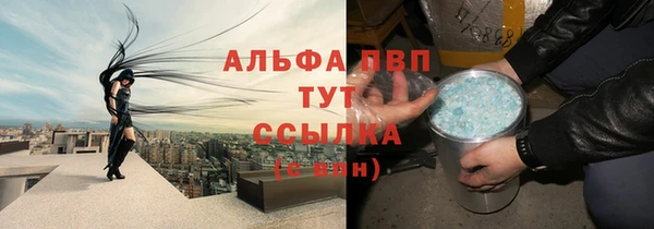 PSILOCYBIN Балабаново