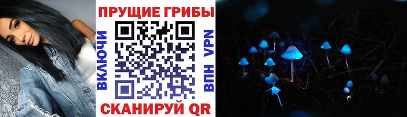 omg онион  Тетюши  Псилоцибиновые грибы Psilocybine cubensis 